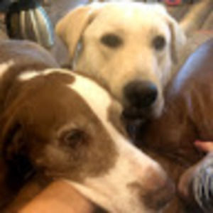 Meet your Posher, Marci